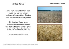 Stilles-Reifen-Morgenstern.pdf